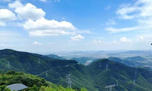 风景最新爆料视频,震撼视频带你领略绝美风光 第1张 风景最新爆料视频,震撼视频带你领略绝美风光 第1张